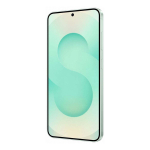 Samsung Galaxy S25 12/256Gb Mint, мятный