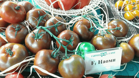 Наоми F1 семена томата индетерминантного (Гавриш) – фото 3