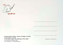 Лапландия. Набор из 12 открыток