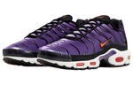 Кроссовки Nike Air Max Plus