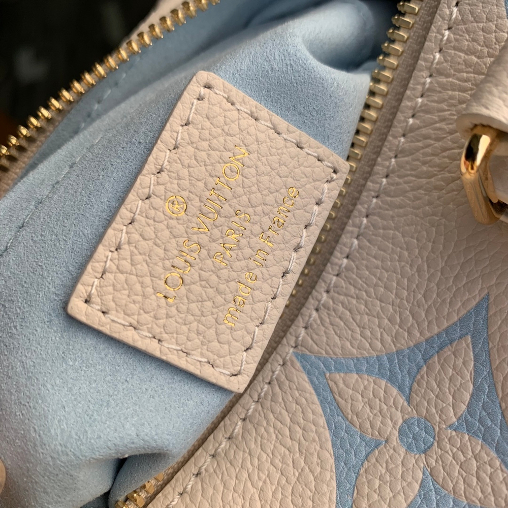 Louis Vuitton Speedy 20