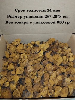 Чага кусковая