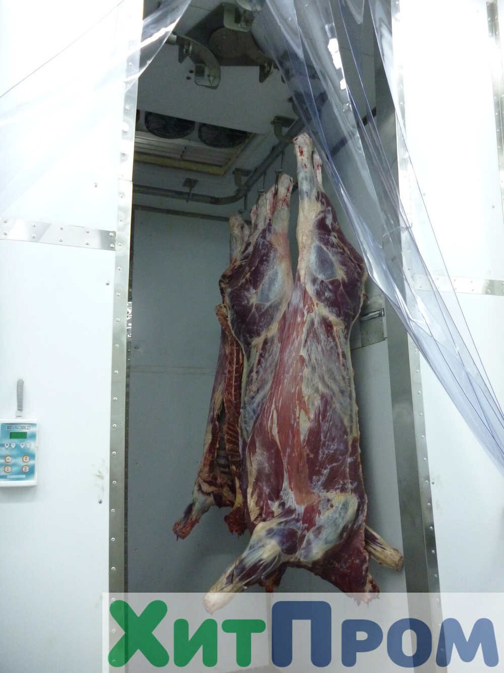 Комплекс убоя и переработки КРС до 20 голов/смена и МРС до 200 голов/смена. р. Татарстан