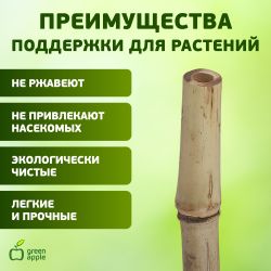 GBS-8-120 GREEN APPLE Поддержка бамбуковая 120см o 8мм 5шт (Набор 5 шт)