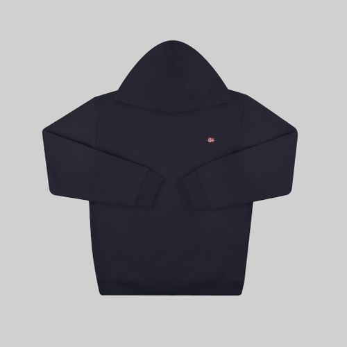 Толстовка мужская Napapijri Balis Hoodie артикул:NA4FQV176 - купить в магазине Дайс