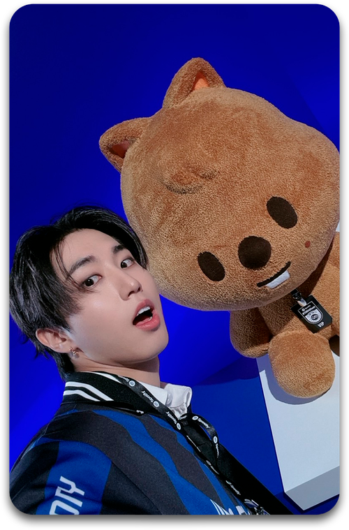 Карта / STRAY KIDS #4387