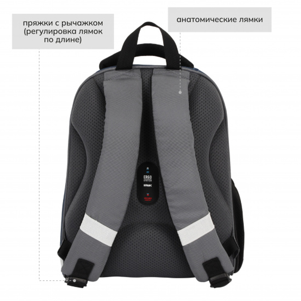 Ранец, спинка эргономичная, 1 отделение, 35*27*13 см, ERGO Light, Shark, КОКОС, 213970