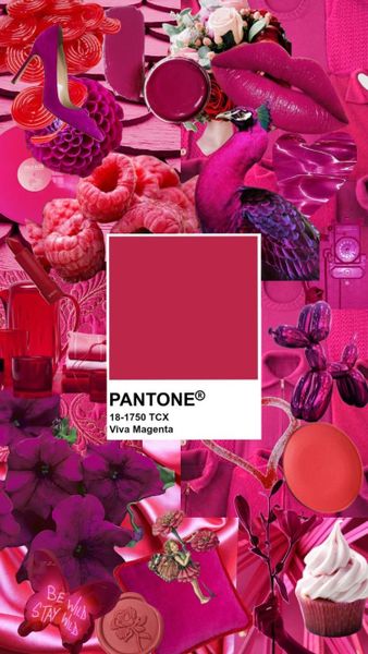 Цвет года 2023 по версии PANTONE - &quot;Маджента&quot;