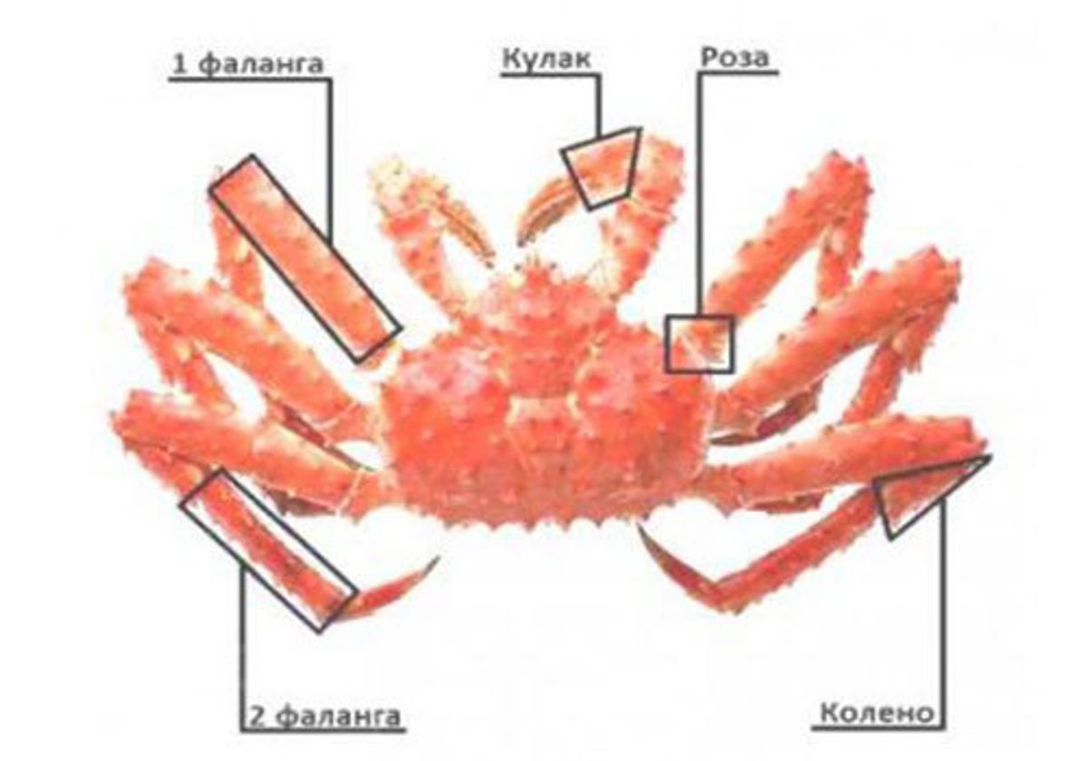 Мясо камчатского краба, роза, 600г