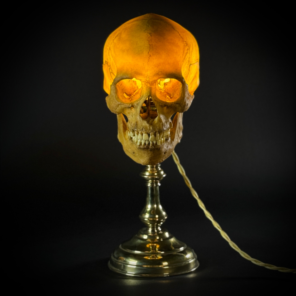 Ночник «Череп человека»