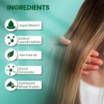 SH-RD Шампунь на основе масла чайного дерева Tea Tree Scalp Shampoo, 250 мл