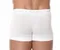 Трусы мужские боксеры Brubeck Comfort Cotton Short mini Boxer BX10210/BX10050A