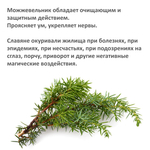 Свечи с можжевельником, ритуальные на чистку и защиту, 18х2 см