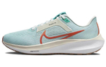 Кроссовки Nike Air Zoom Pegasus 40 (Женская размерная сетка)