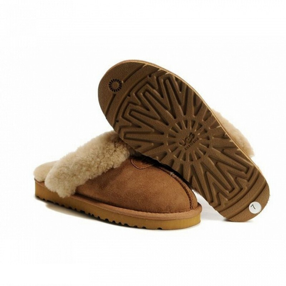 Мужские тапочки Coquette Slippers Chestnut