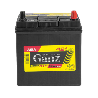 Аккумулятор GANZ PRO-Line JIS 42 А/ч обратный R+ 195x127x220 B19 EN 380 А
