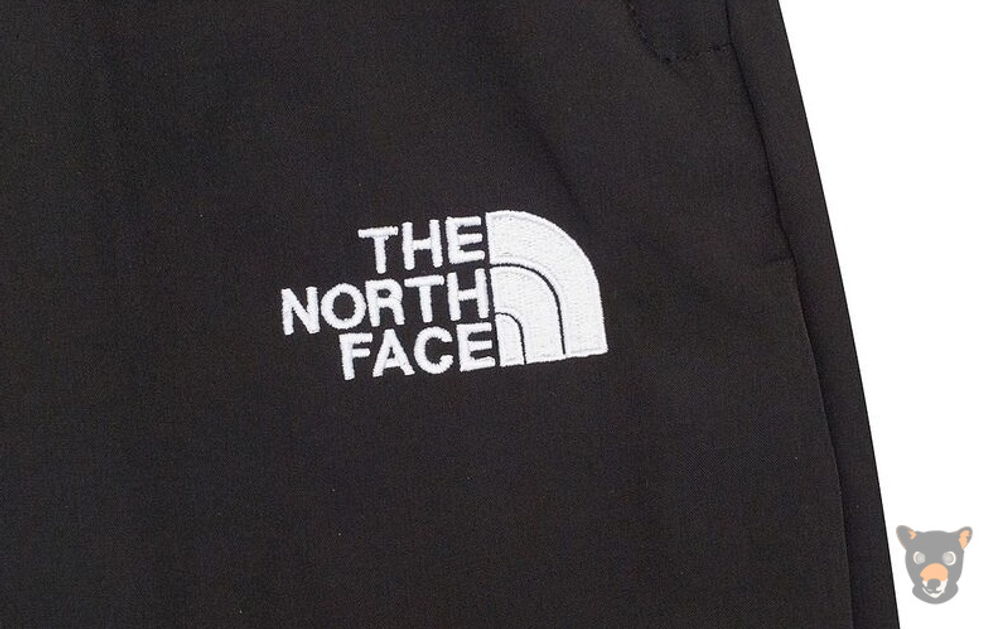 Джоггеры The North Face