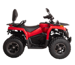 Электроквадроцикл Bizon YK250EL LUX