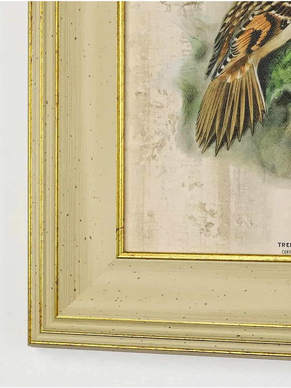 Картина интерьерная на холсте в раме "Птички" 30*30 см