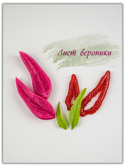 Лист вероники