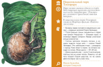 ИГРА. Прогулки из шкатулки. 100 чудес света. Увлекательное путешествие-игра