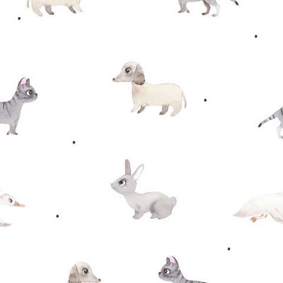 Кошка и собака на белом