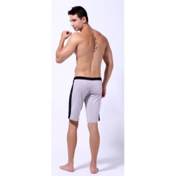 Шорты спортивные светло-серые под шелк Wang Jiang Shorts 11