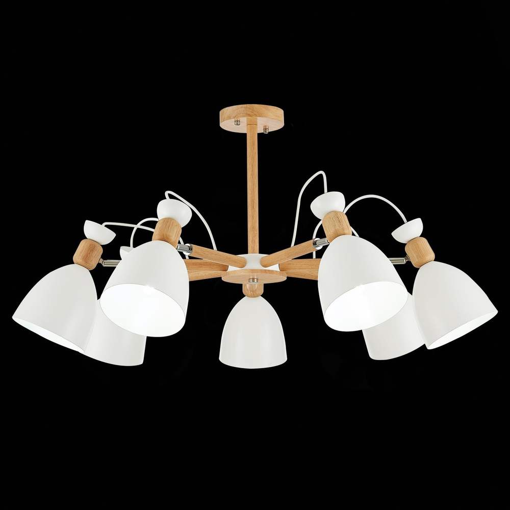 Светильник потолочный Evoluce Balcamo SLE103802-07