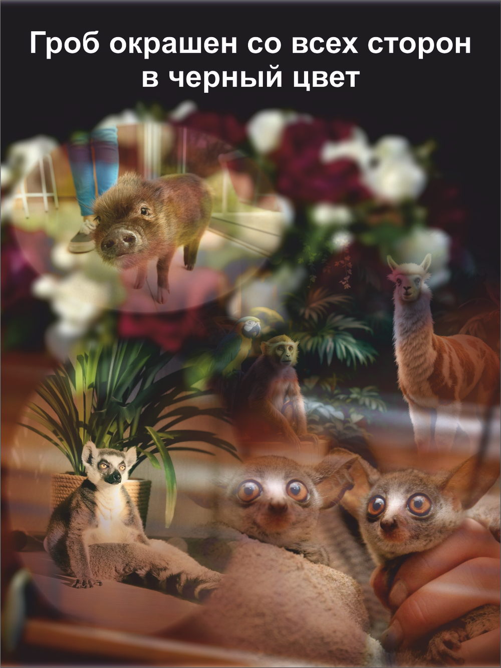 Гроб для животных