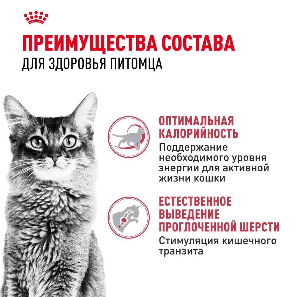Royal Canin Fit 32 Фит 32 Корм сухой для взрослых умеренно активных кошек от 1 года 4кг