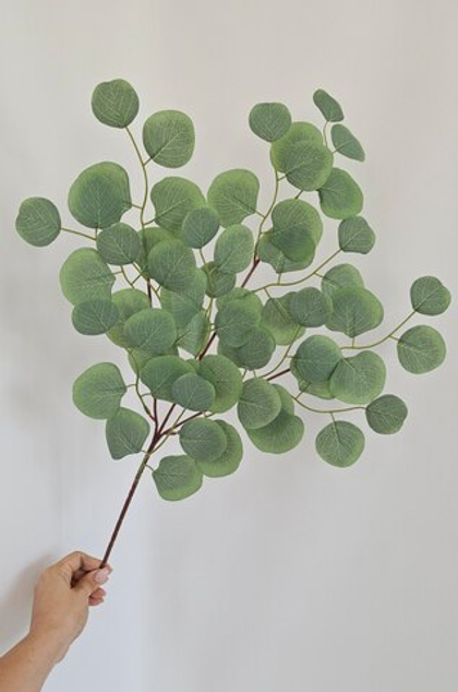 Эвкалипт светлый / Арт 1056