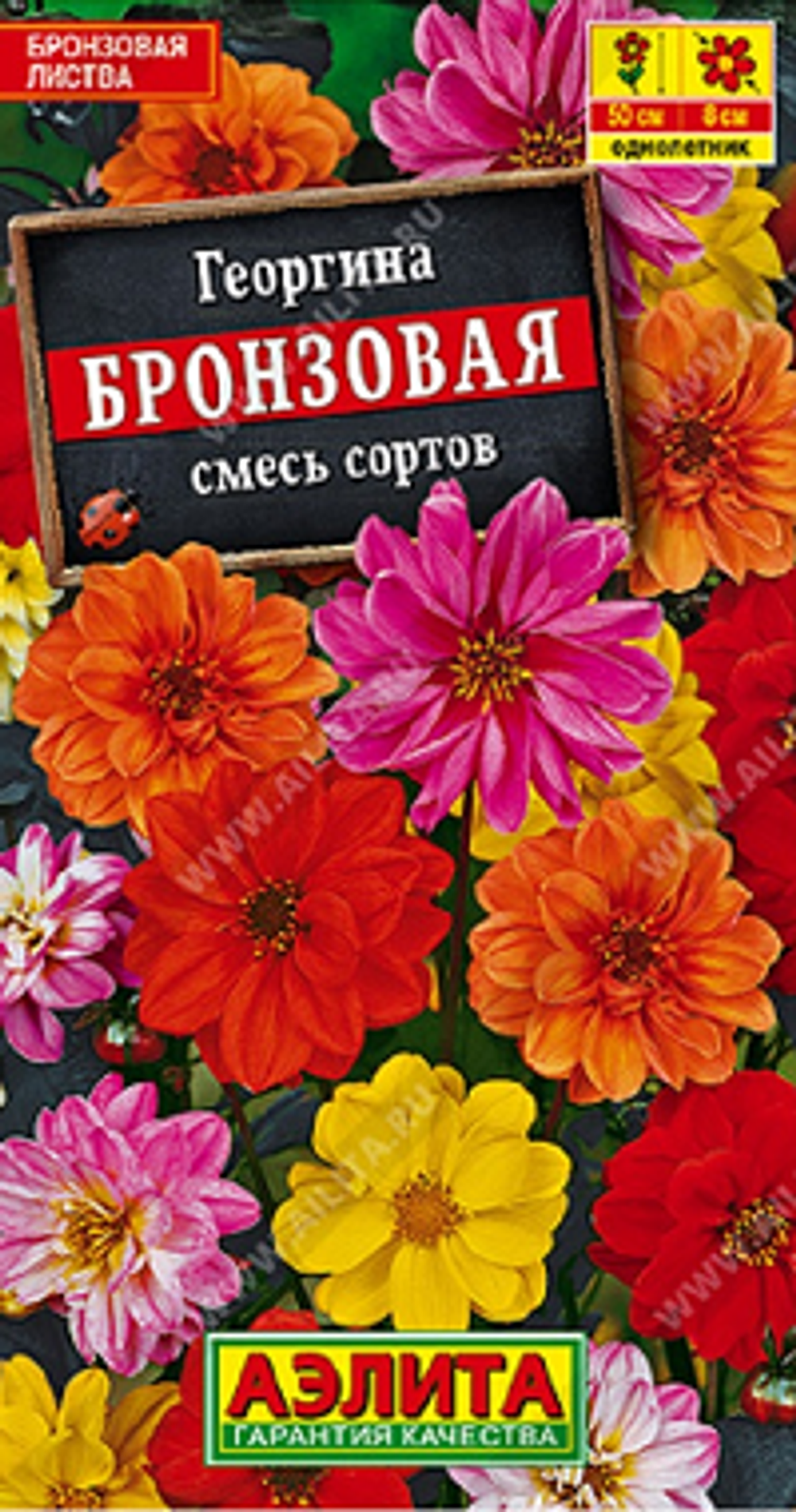 Георгина Бронзовая, смесь сортов