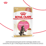 Royal Canin Maine Coon Kitten Мейн Кун Киттен Корм влажный для котят породы Мэйн Кун в возрасте до 15 месяцев соус 85г