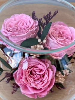 натуральные пионы в стекле, вакуум*