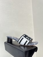 Christian Dior Dway Slide (11 colors)
