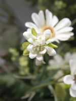 Искусственные цветы для декора в кашпо