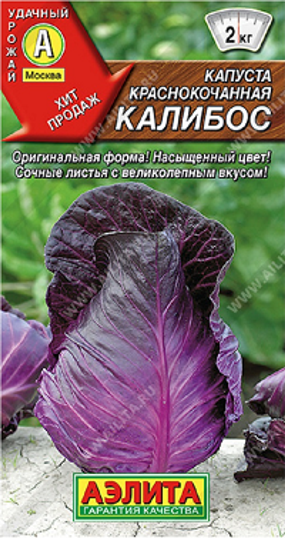 Капуста краснокочанная Калибос