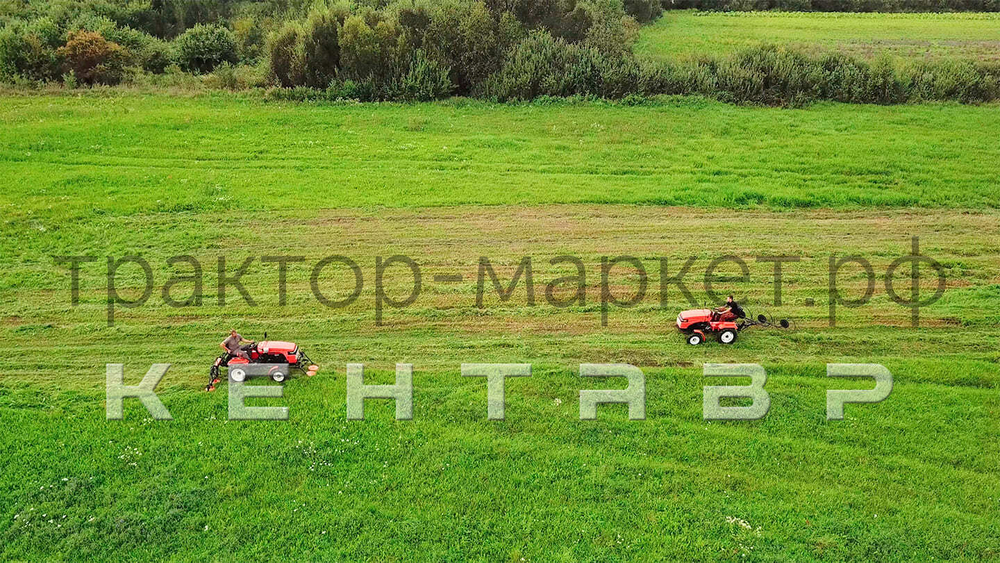 Грабли-сеноворошилки Кентавр ГР-3