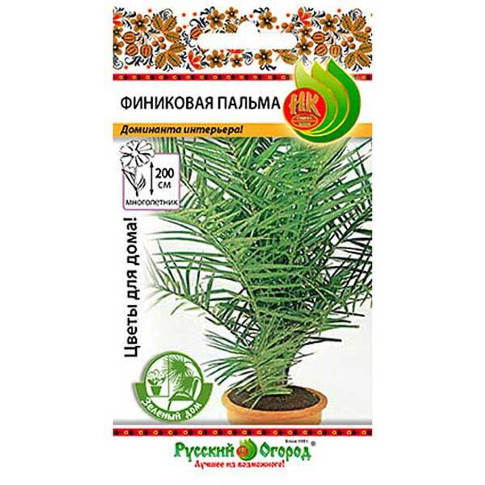 КОМ Пальма Финиковая НК Ц