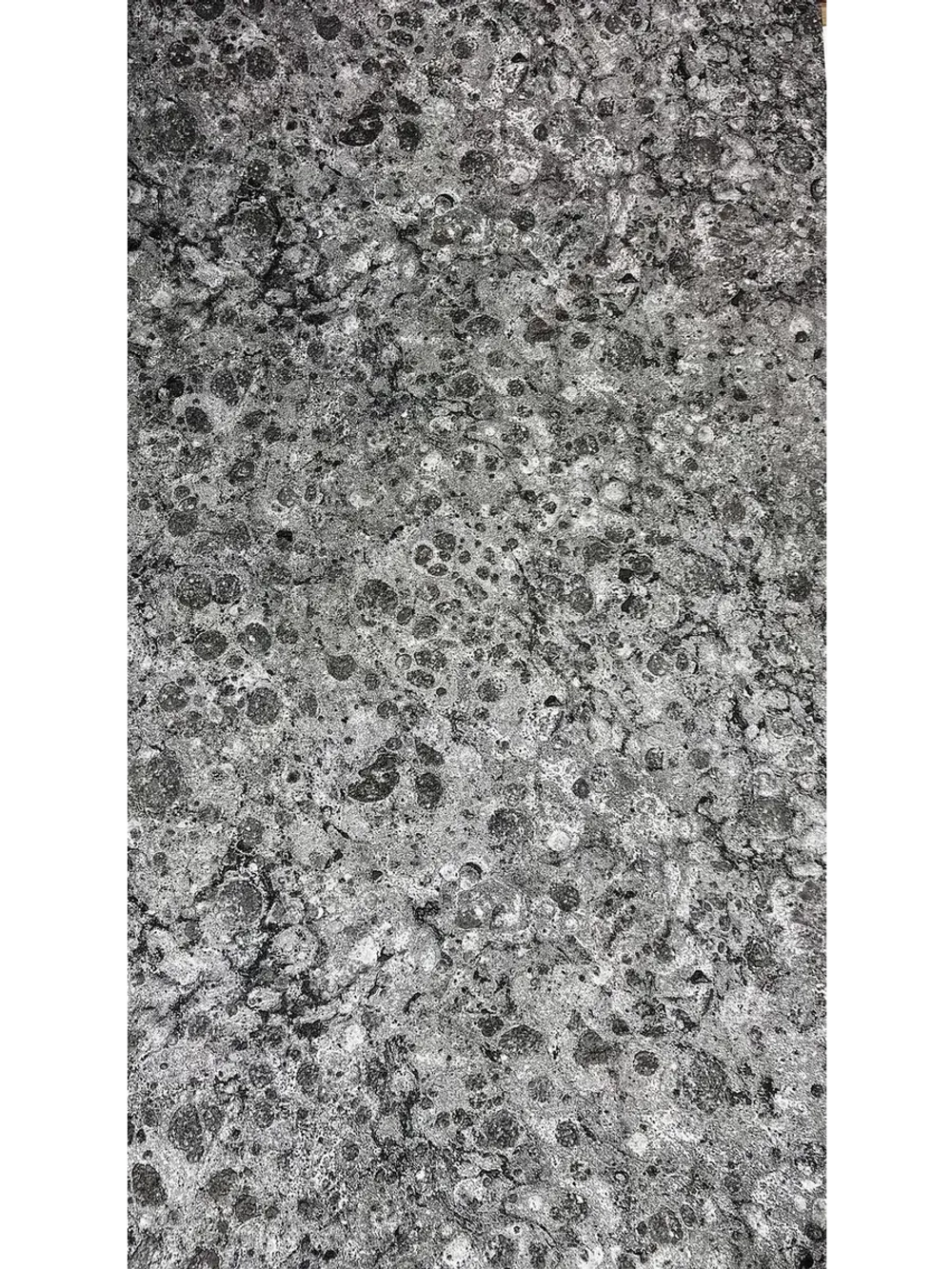 Обои флизелиновые 31030 Platinum Германия