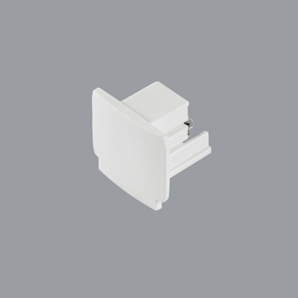 Заглушка торцевая RAY-3