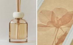 Zara Home Аромадиффузор Jasmine & Musk 120 мл, тростниковые палочки микадо, аромат цветочный древесный, Розовый