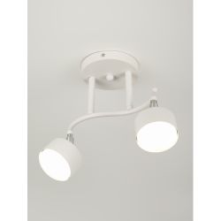 Светильник настенно-потолочный спот Rivoli   7080-702 2хGX53 15 Вт поворотный