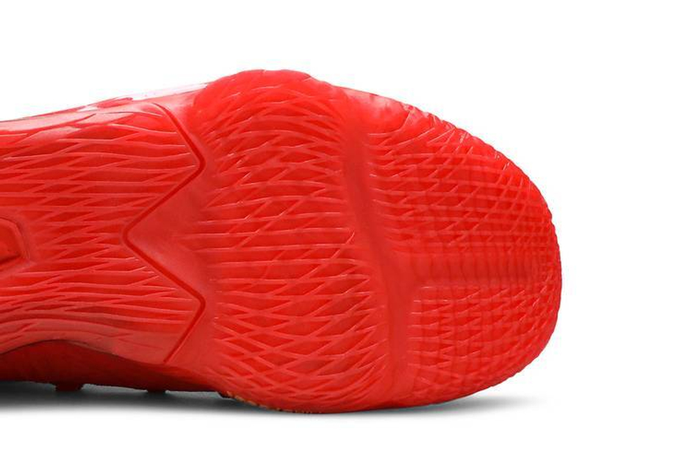 Кроссовки Titan X Nike Lebron 17