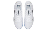 Nike Court Air Zoom Zero "Metallic Summit White"