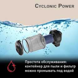Пылесос с контейнером Tefal Cyclonic Power TW1931RH