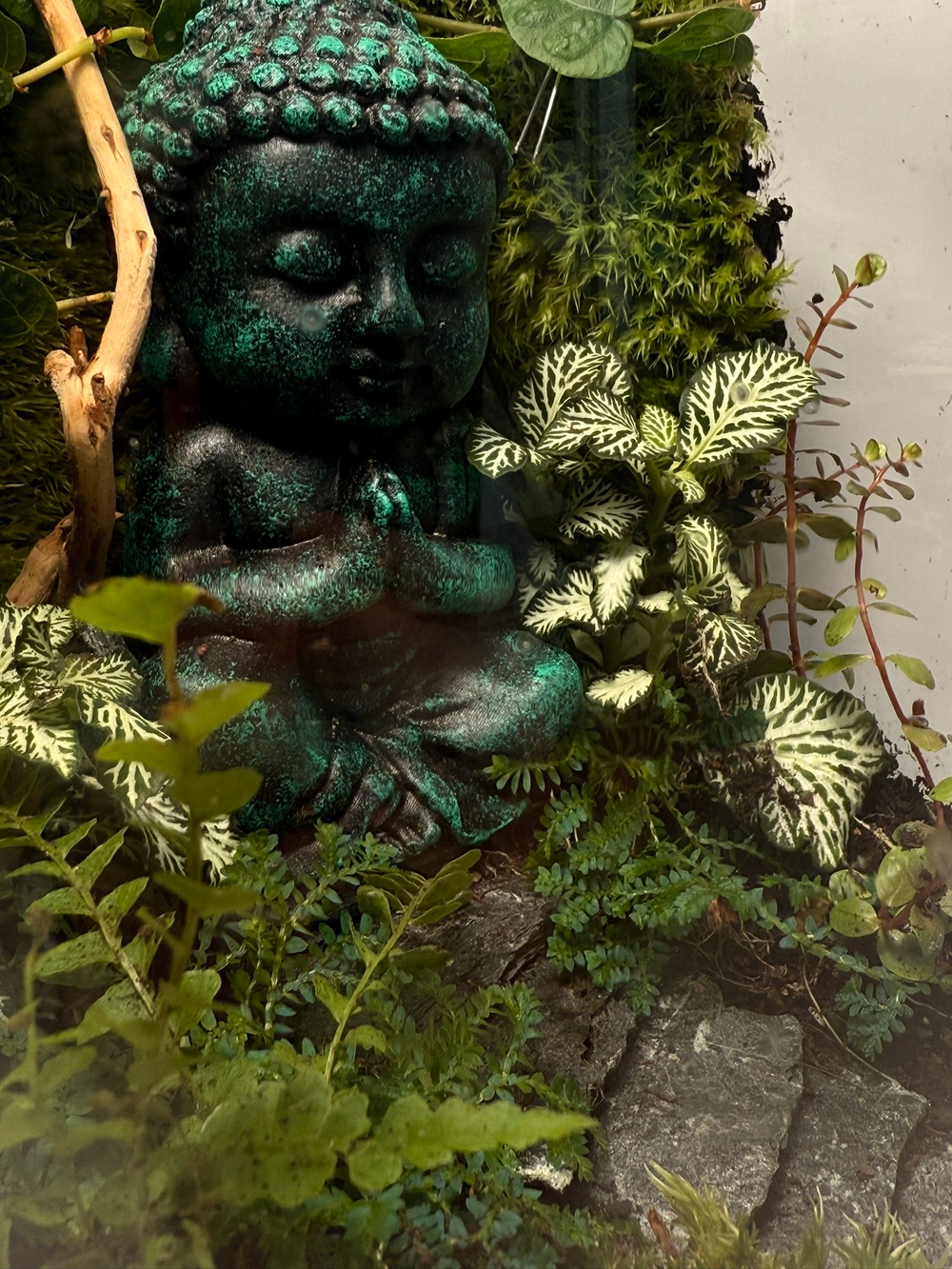 Флорариум M/L (от 20 см до 50 см)