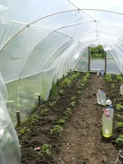 Арматура стеклопластиковая d-8мм (50м) композитная