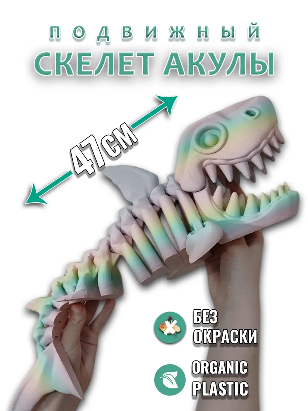 Большой Скелет Акулы