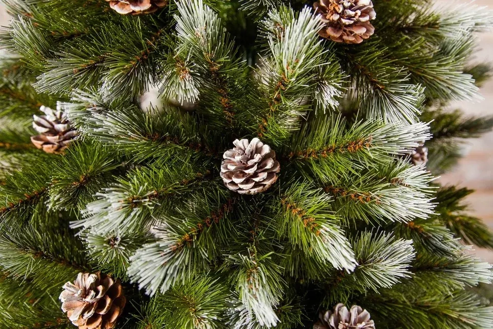 Сосна Женева заснеженная с шишками 155 см., леска+пвх, Triumph Tree (73116)